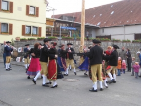 Maibaumaufstellung 2009